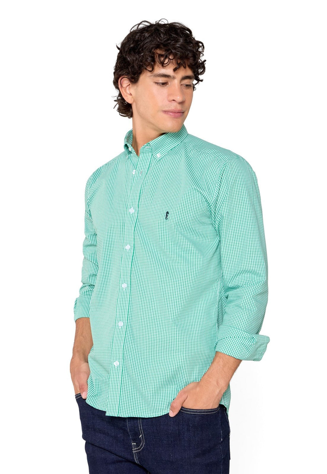 Camisa Manga Larga Cuadros Verdes