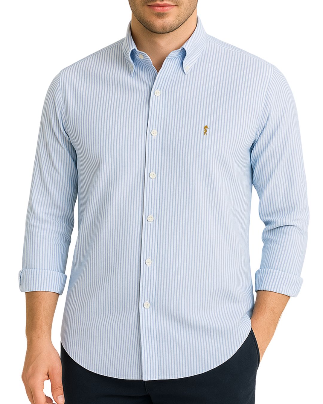 Camisa Manga Larga Rayas Azul Claro