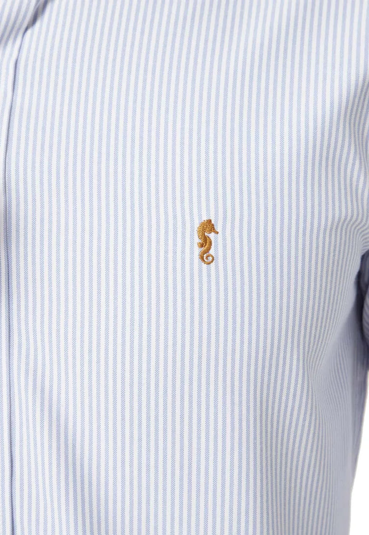 Camisa Manga Larga Oxford Larga Rayas Azul Claro